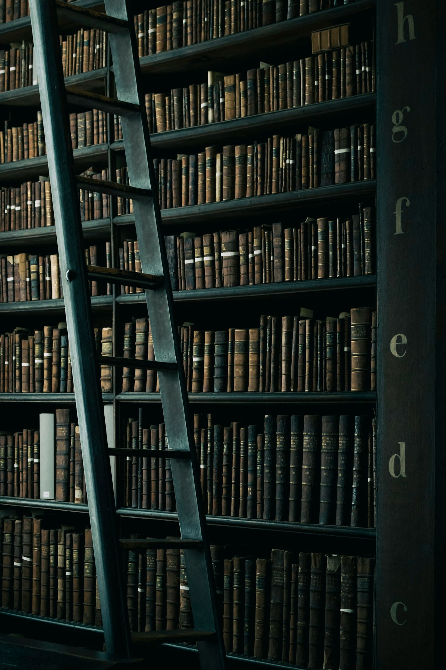 Dicas para incorporar a leitura na rotina